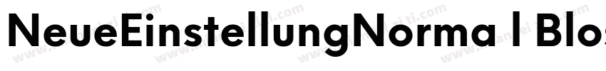 NeueEinstellungNorma l BlostaScript字体转换